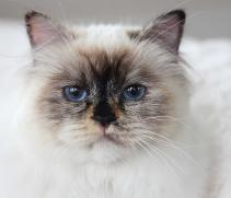Lady10m1